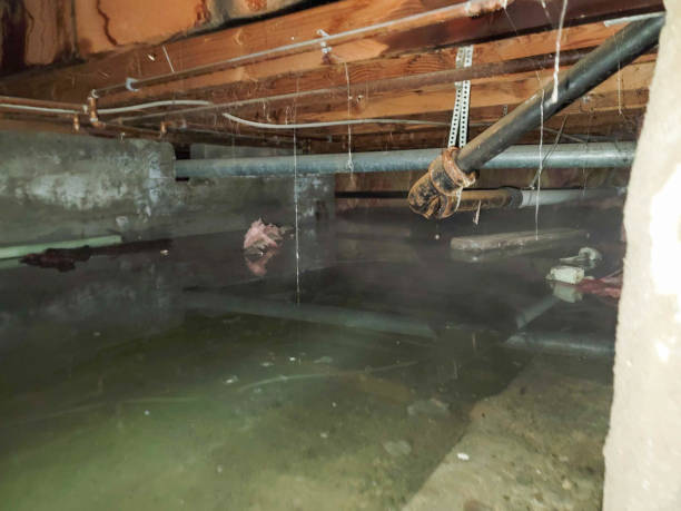 Best Sewage cleanup and water damage restoration  in Atlantic Beach, NC