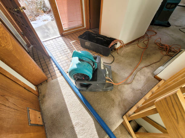 Best Mold removal after water damage  in Atlantic Beach, NC