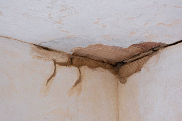 Best Commercial water damage restoration  in Atlantic Beach, NC