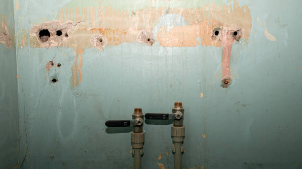 Best Professional water damage repair  in Atlantic Beach, NC