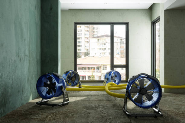 Best Water damage restoration near me  in Atlantic Beach, NC