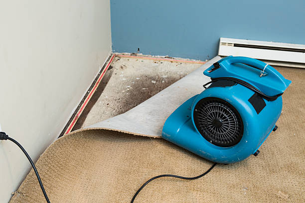 Best Mold removal after water damage  in Atlantic Beach, NC